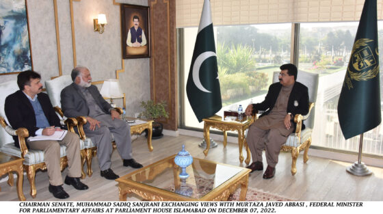 Peaceful co-existence, national cohesion direly needed for country’s rapid, robust growth: Chairman Senate