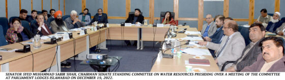 Senate Committee discusses sedimentation at Tarbela Dam:Plots allocation to affectees, desilting of reservoir