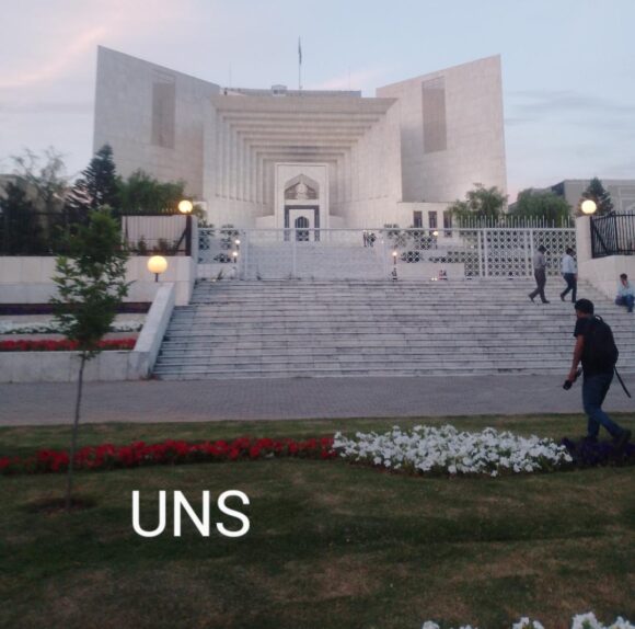 Govt should seek SC opinion on status of two laws, prays petitioner