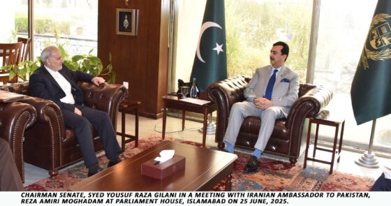 Chairman Senate,Iranian Envoy discusses overall regional situation,promotion of bilateral ties