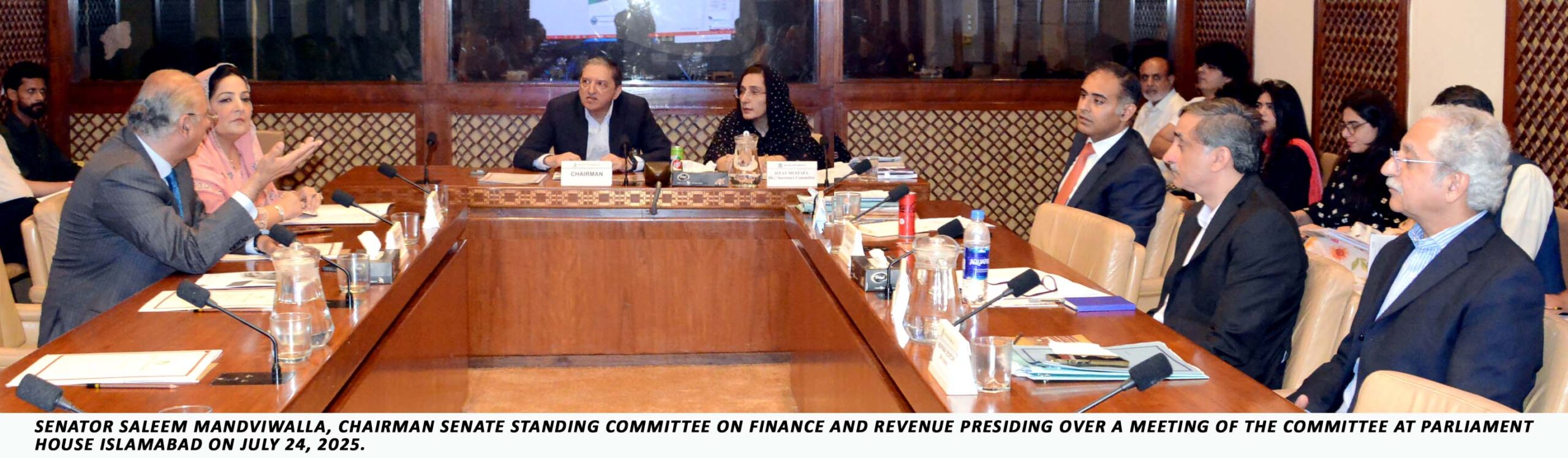 Senate body discusses anomalies in Financial Budget 2025–26