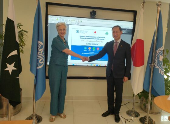 Japan-funded FAO project helps restore farming and livestock livelihoods in flood-hit area