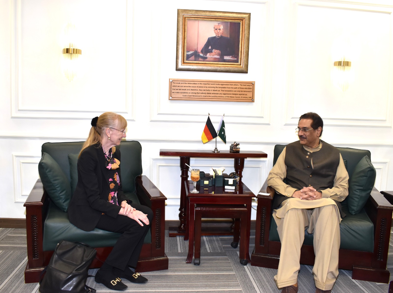Pak,Germany have great potential for further extending defence cooperation: Harraj