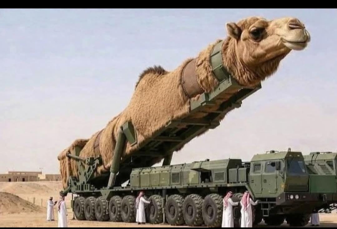 Iran’s Military identity and regional force projection