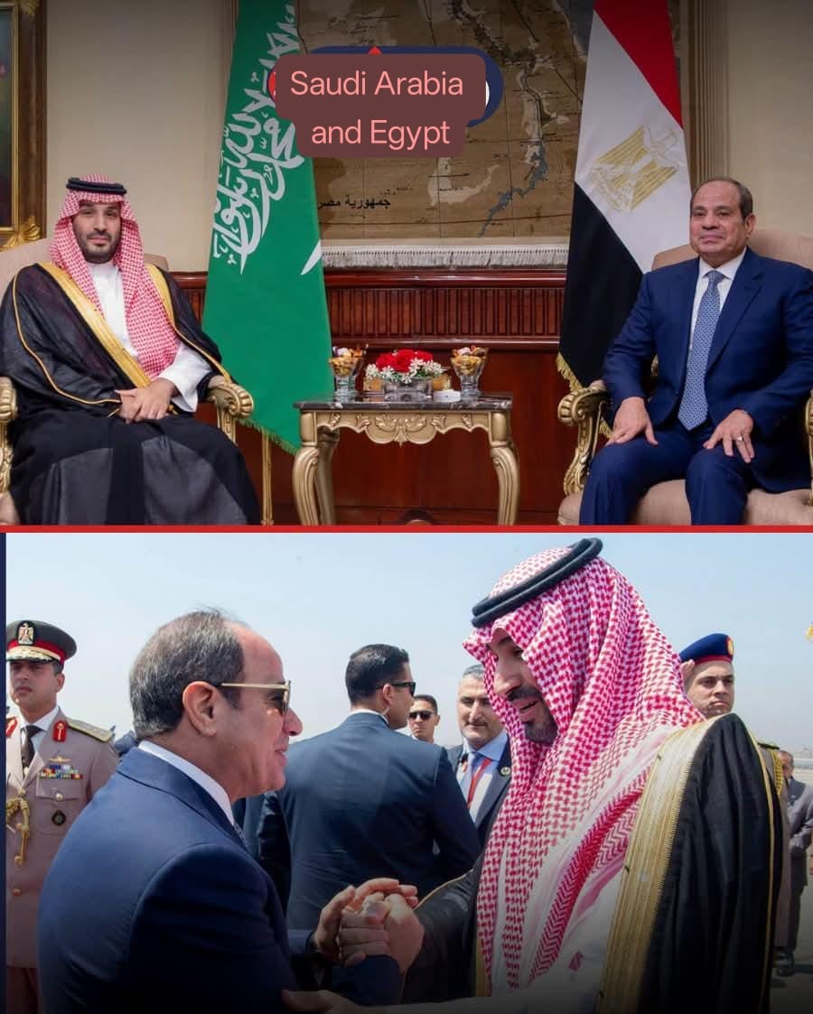 Cairo Summit Under Pressure: Saudi Arabia and Egypt Face a Red Sea Security Test